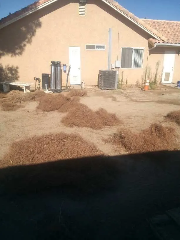 Affordable landscape design experts serving Rosamond, CA - DMB Junk Removal & Yard Maintenance
