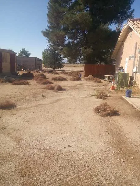 Custom residential landscaping for residential properties in Rosamond, CA by DMB Junk Removal & Yard Maintenance