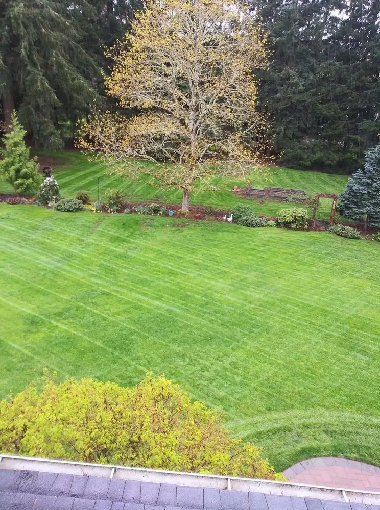 Trusted landscape installation for outdoor upgrades across Vancouver, WA - DMB Landscaping