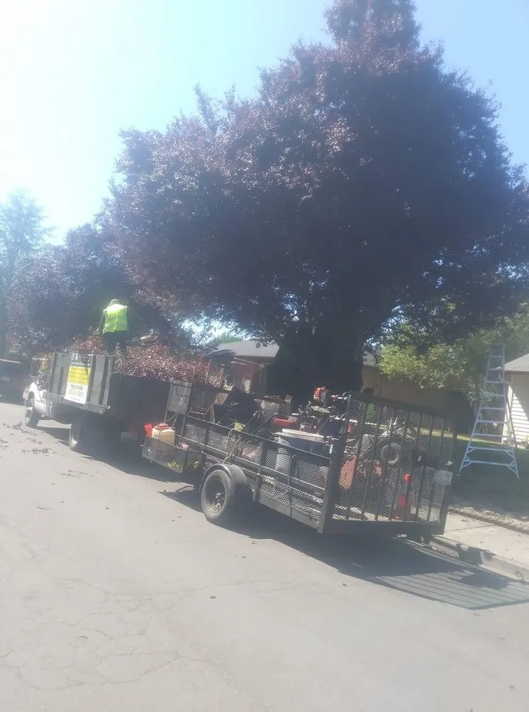 Trusted landscape installation experts serving Vancouver, WA - DMB Landscaping