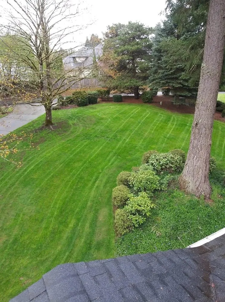 Trusted landscape installation in Vancouver, WA by DMB Landscaping
