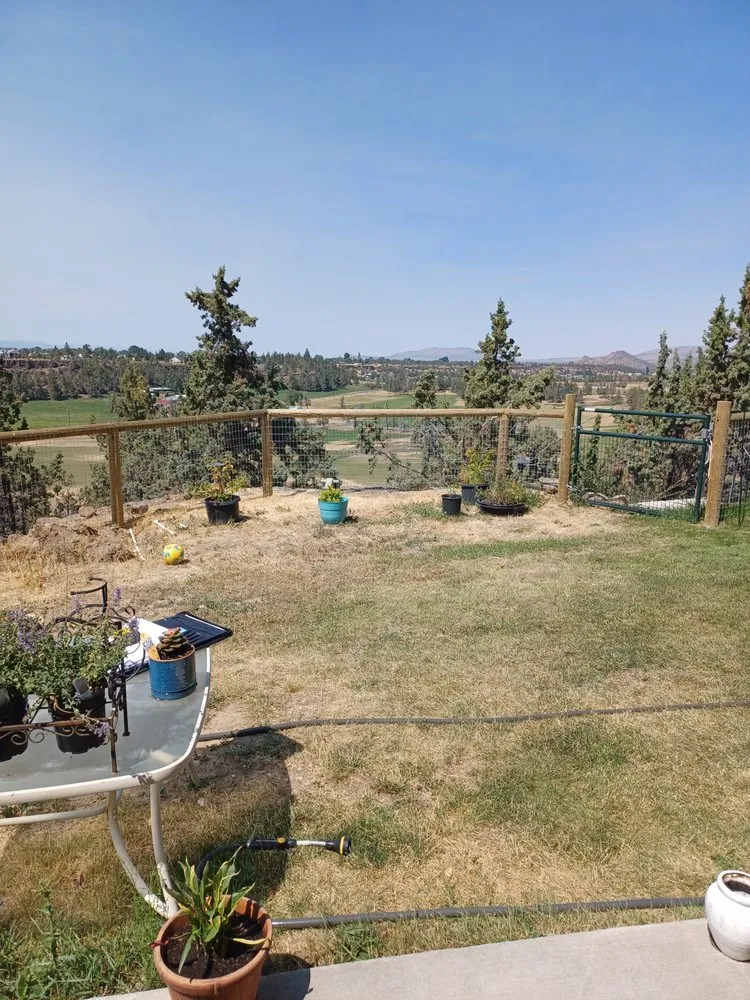 Professional lawn care service in Redmond, OR - DMC Contracting