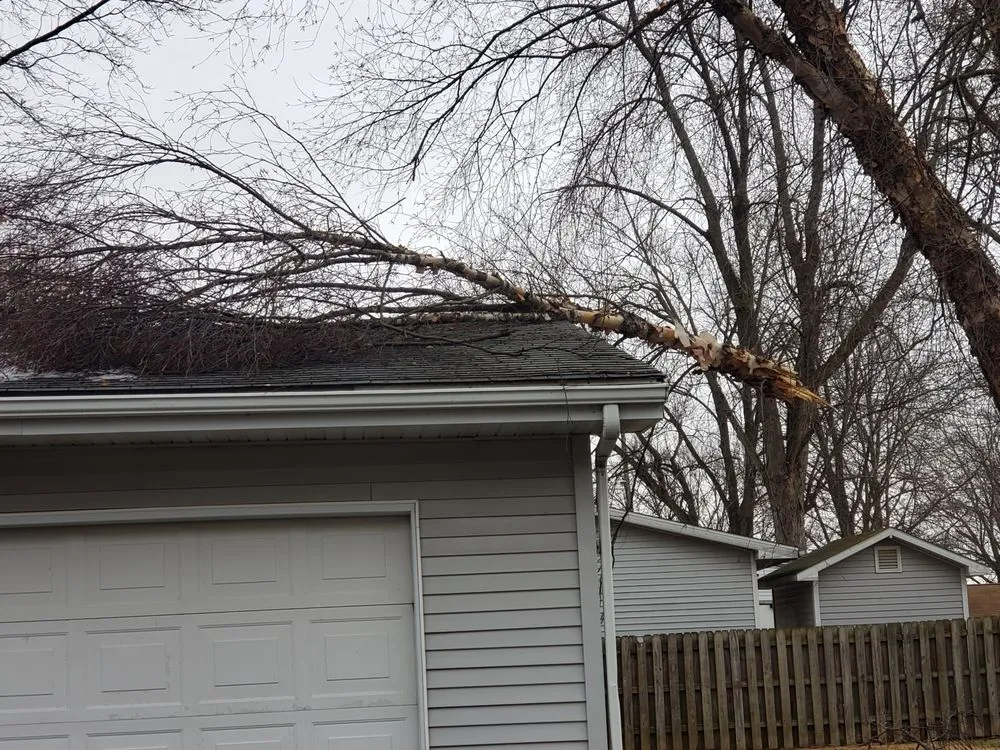 Expert yard maintenance experts serving Jacksonville, IL - DMC Lawn Maintenance