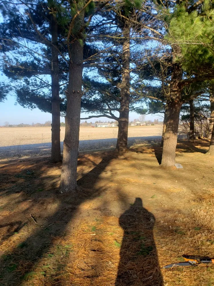 Local landscape installation with custom design in Jacksonville, IL by DMC Lawn Maintenance