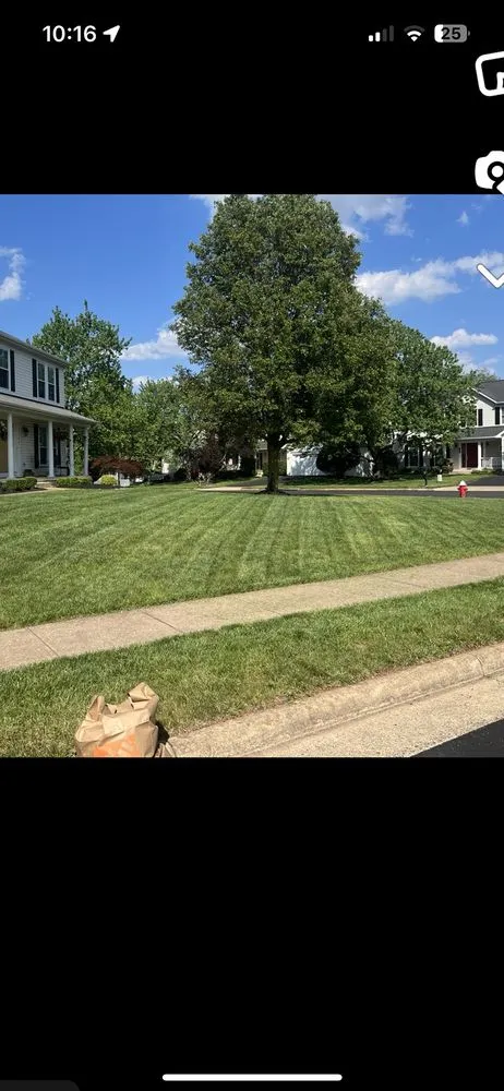 Top-rated landscape design near you in Ashburn, VA by DMC Property Services