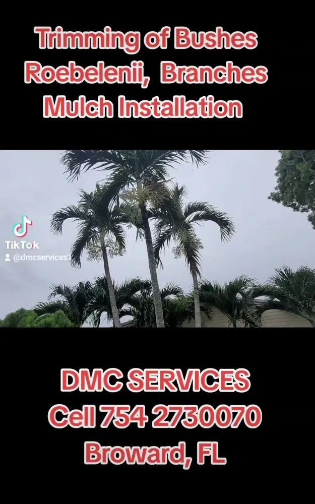 Affordable residential landscaping for homes in Fort Lauderdale, FL by DMC Services