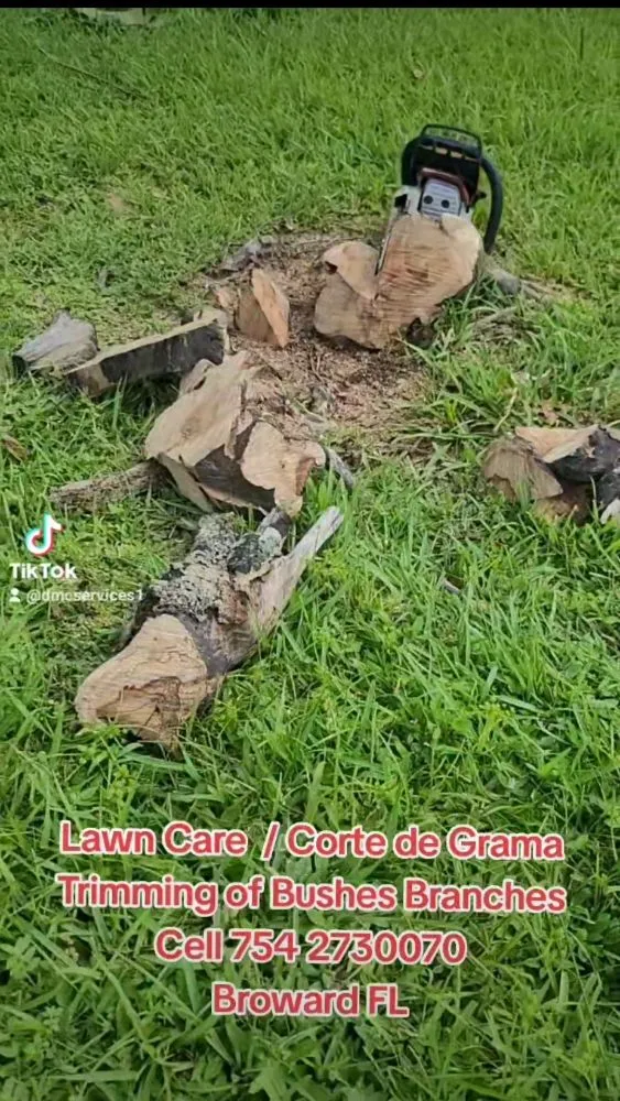 Custom landscaping services for residential properties in Fort Lauderdale, FL by DMC Services