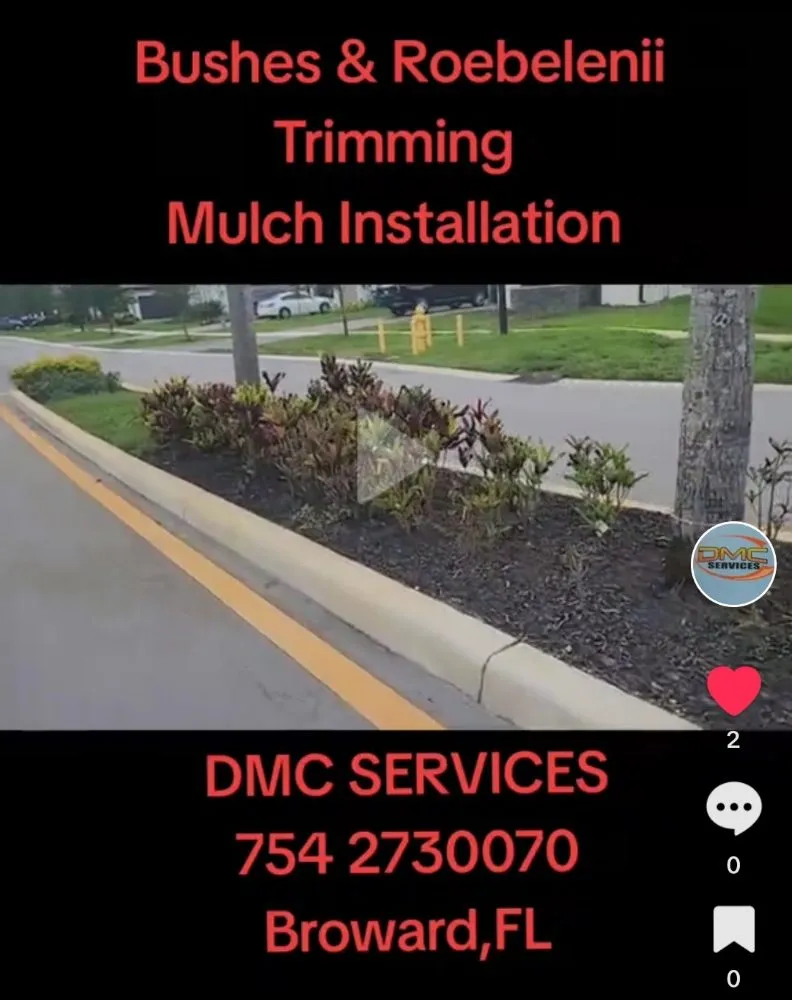 Affordable yard cleanup service in Fort Lauderdale, FL - DMC Services