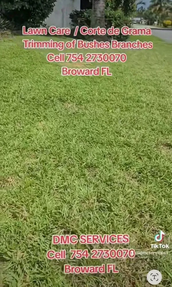 Custom lawn care service in Fort Lauderdale, FL - DMC Services