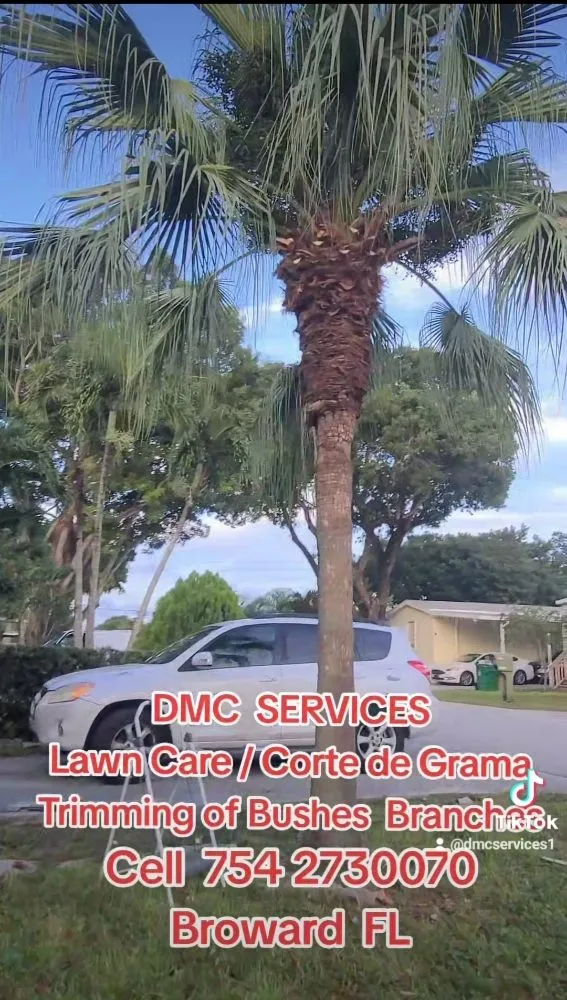 Professional yard maintenance in Fort Lauderdale, FL - DMC Services