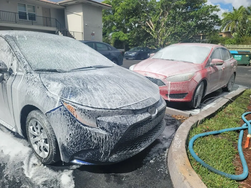 Affordable lawn mowing service with custom design in Fort Lauderdale, FL by DMC Services