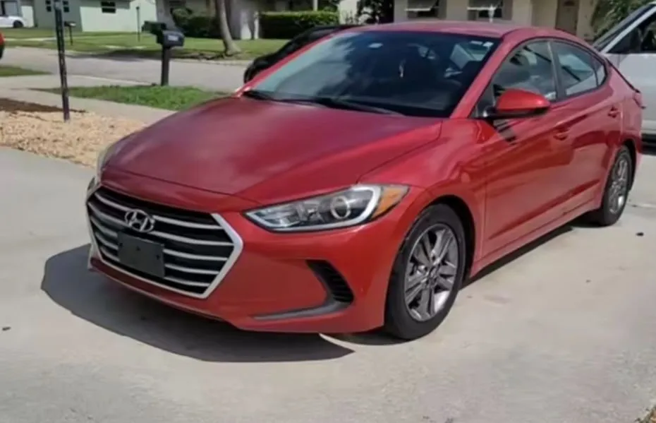 Custom yard maintenance in Fort Lauderdale, FL - DMC Services