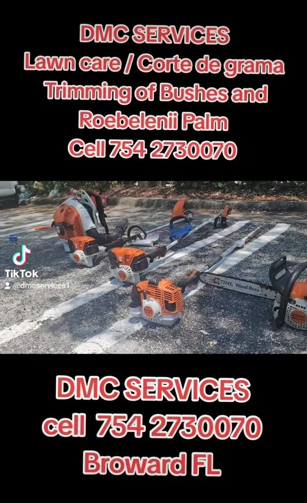 Reliable landscape installation experts serving Fort Lauderdale, FL - DMC Services