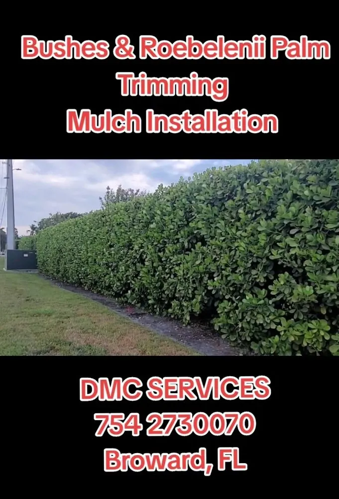 Top-rated lawn care service in Fort Lauderdale, FL by DMC Services
