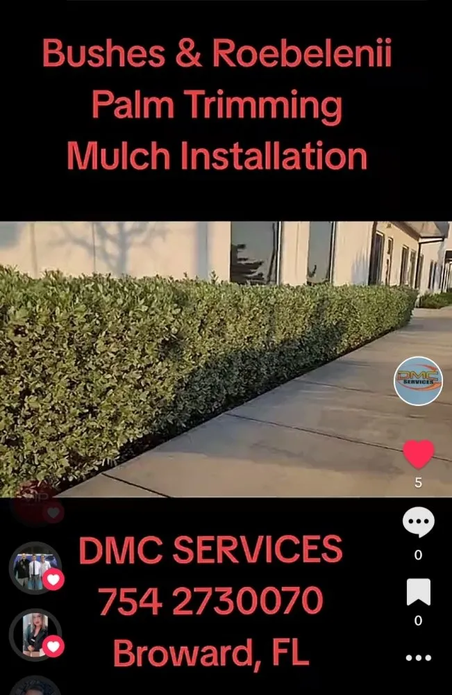 Expert yard cleanup service for outdoor upgrades across Fort Lauderdale, FL - DMC Services