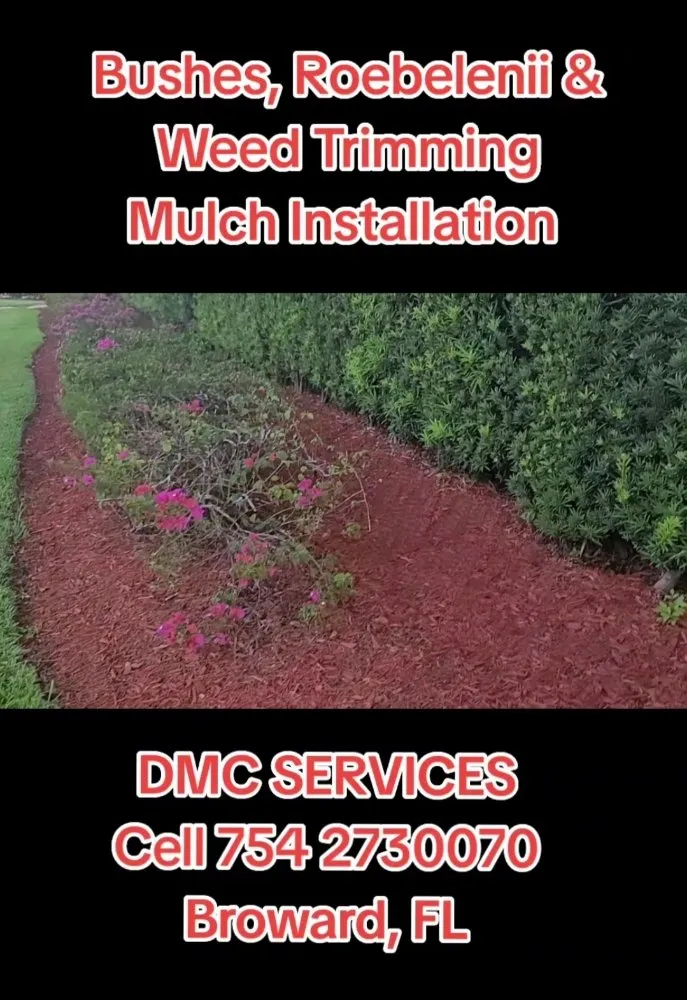 Custom landscape design in Fort Lauderdale, FL by DMC Services