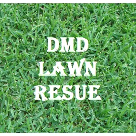 Local landscape installation in Austin, TX by DMD Lawn Rescue