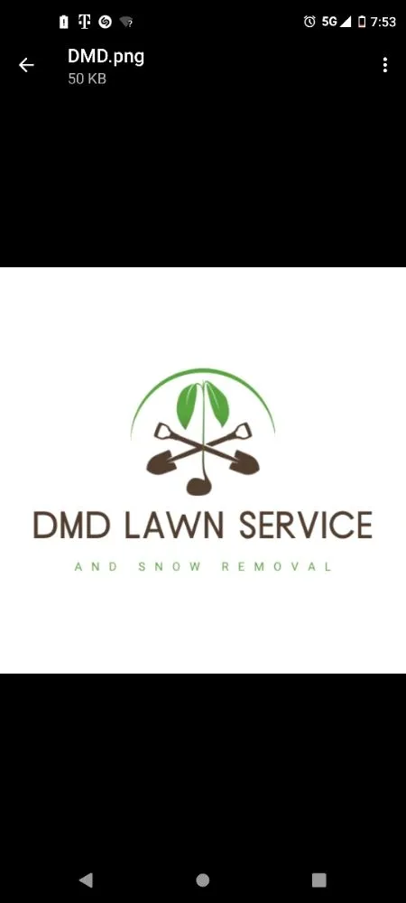 Professional yard cleanup service in Spokane, WA by DMD Lawn Service and Snow Removal