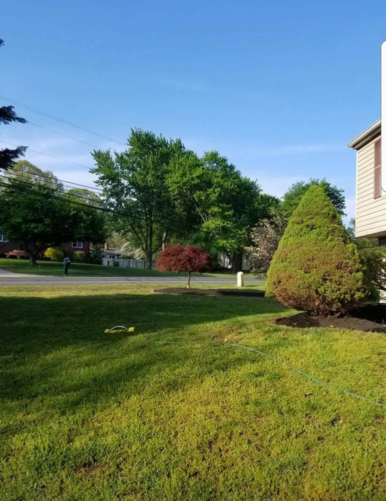 Top-rated lawn mowing service in Hanover, MD - DMF Landscaping