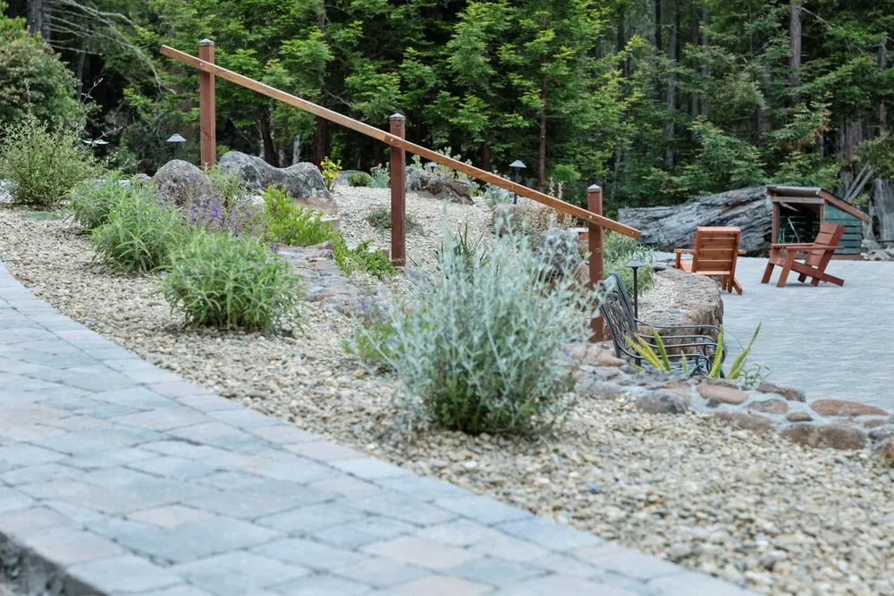 Expert landscape design for beautiful yards across Sebastopol, CA - DMG Landscaping