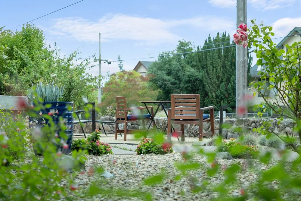 Custom yard maintenance experts serving Sebastopol, CA - DMG Landscaping