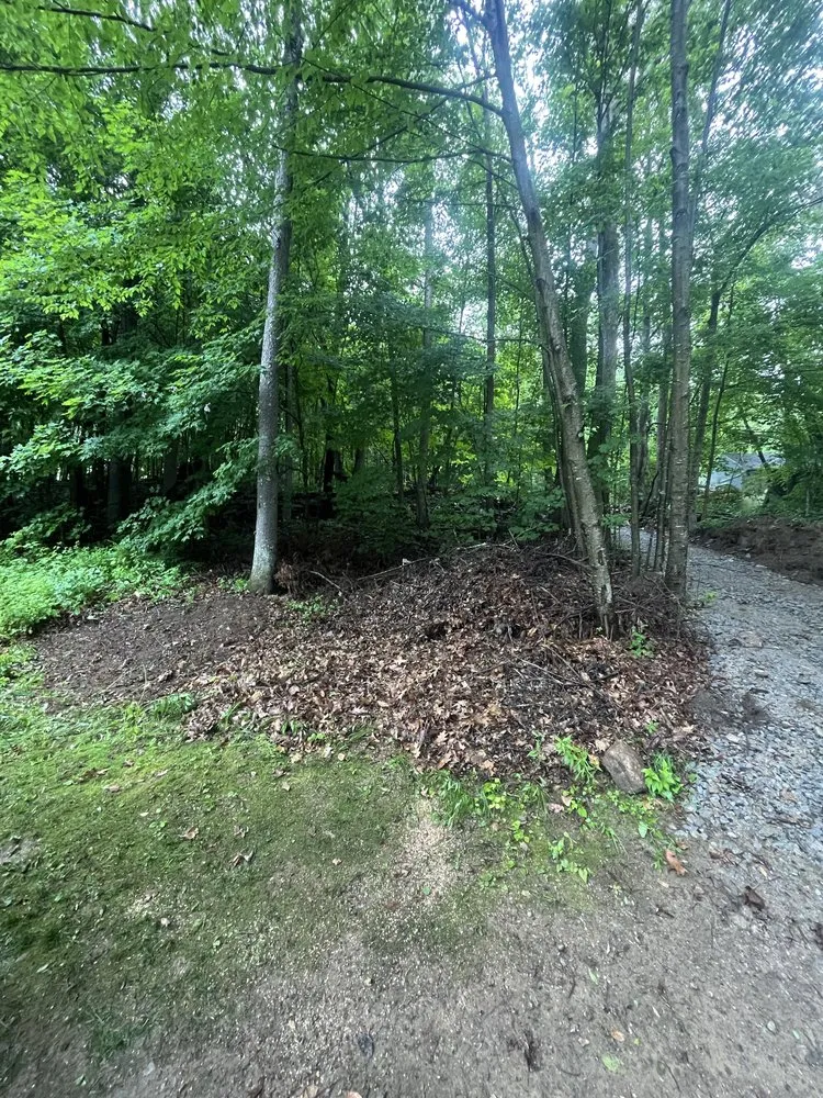 Affordable yard cleanup service for outdoor upgrades in Dudley, MA by DMG Property Maintenance