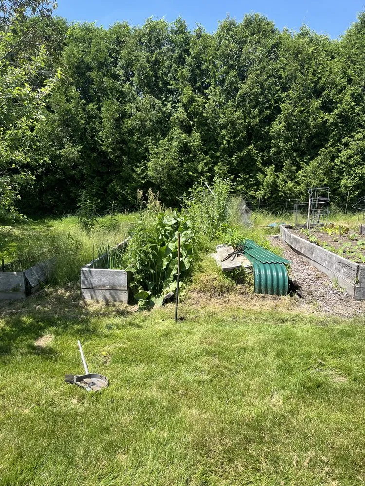 Custom yard cleanup service for year-round maintenance in Dudley, MA by DMG Property Maintenance