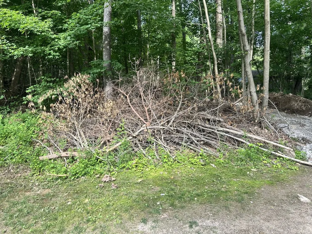 Local landscape installation in Dudley, MA - DMG Property Maintenance