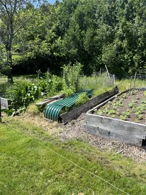 DMG Property Maintenance