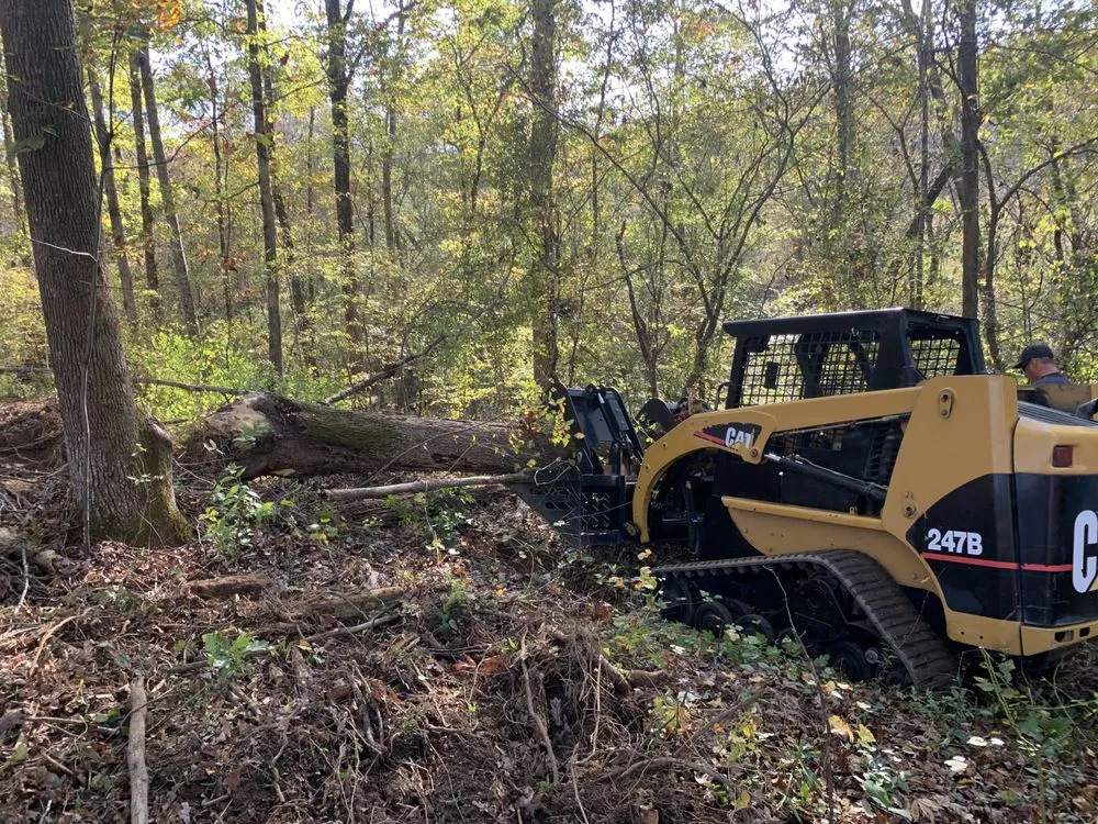 Local yard cleanup service in Loganville, GA by DMH Land Management