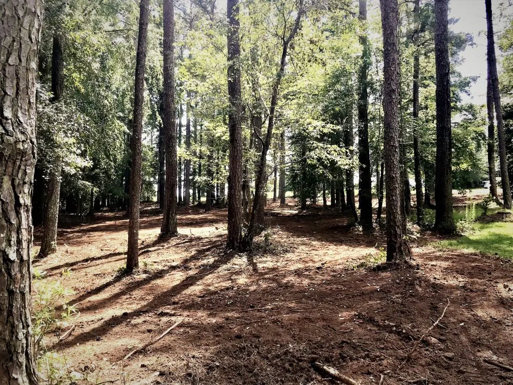 Affordable yard cleanup service in Loganville, GA - DMH Land Management