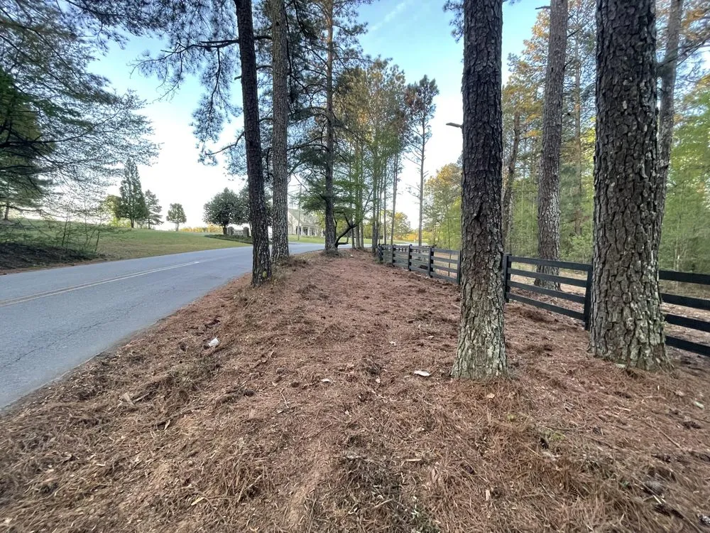 Custom yard cleanup service in Loganville, GA - DMH Land Management