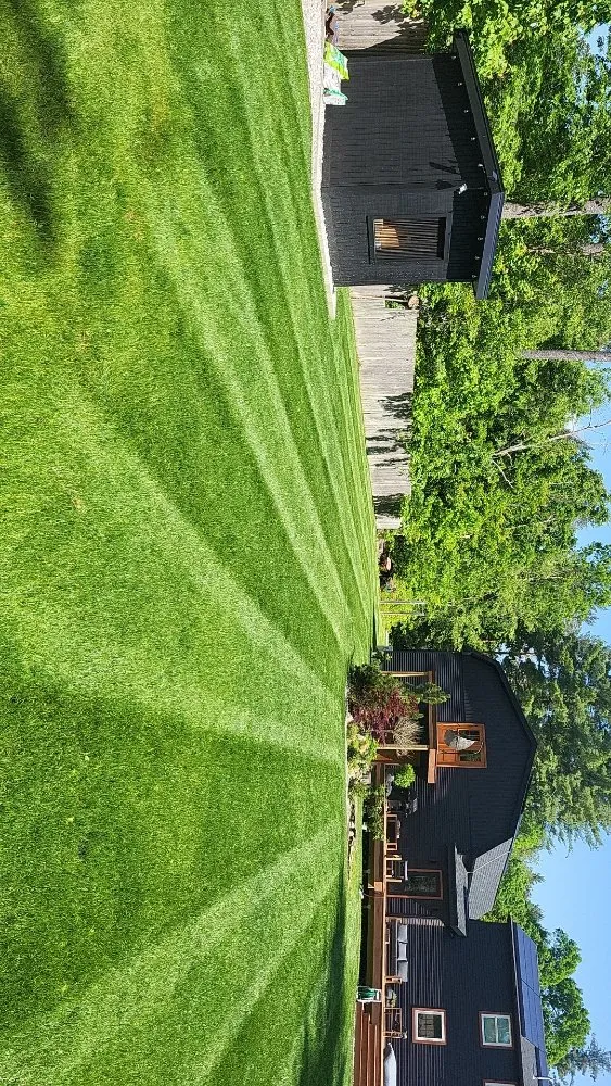 Reliable yard cleanup service experts serving Hudson, NH - DMH Properties