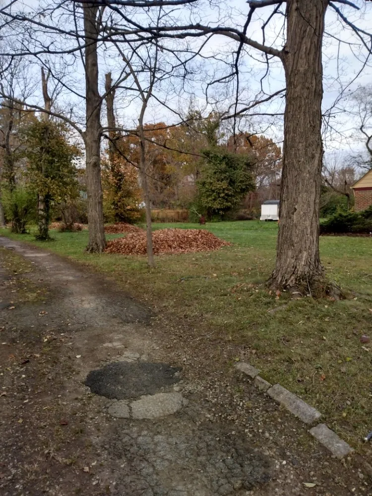 Expert lawn mowing service in Indianapolis, IN by DMJs Landscaping & Hauling