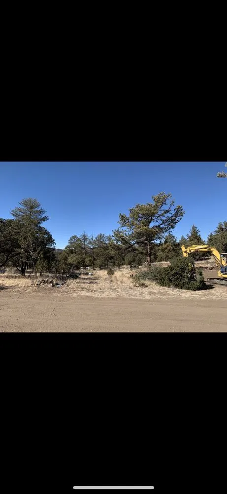 Local yard maintenance for beautiful yards across Westcliffe, CO - DMP Excavating