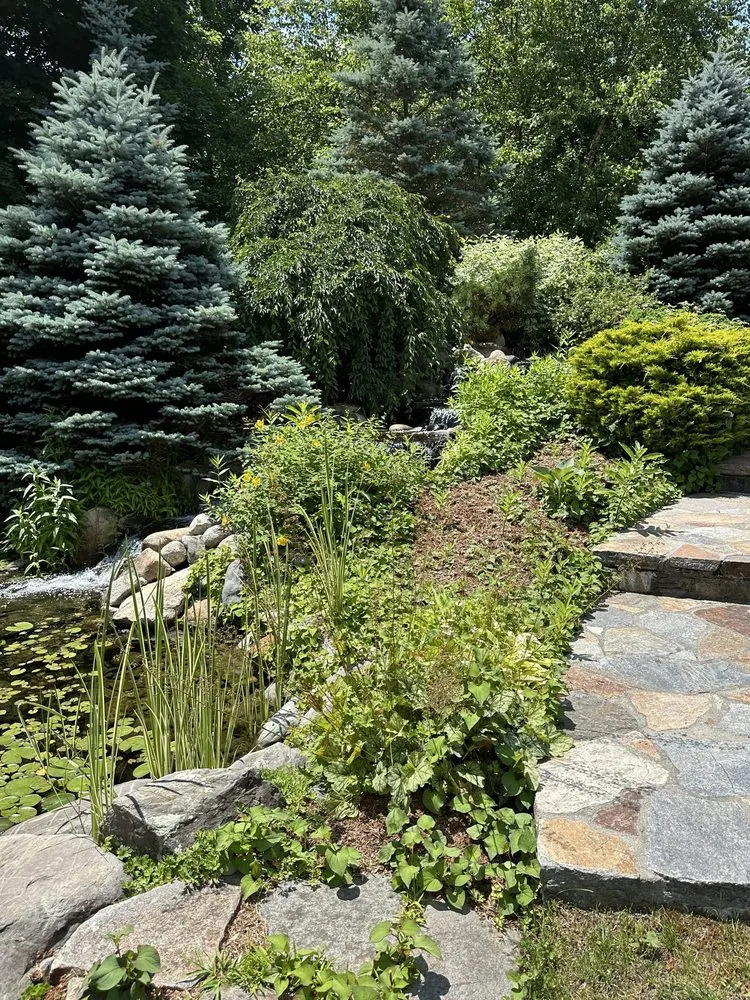 Affordable residential landscaping in Merrimack, NH by DMP
