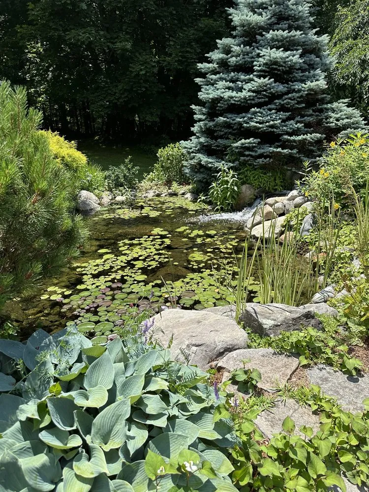 Local outdoor landscaping in Merrimack, NH - DMP