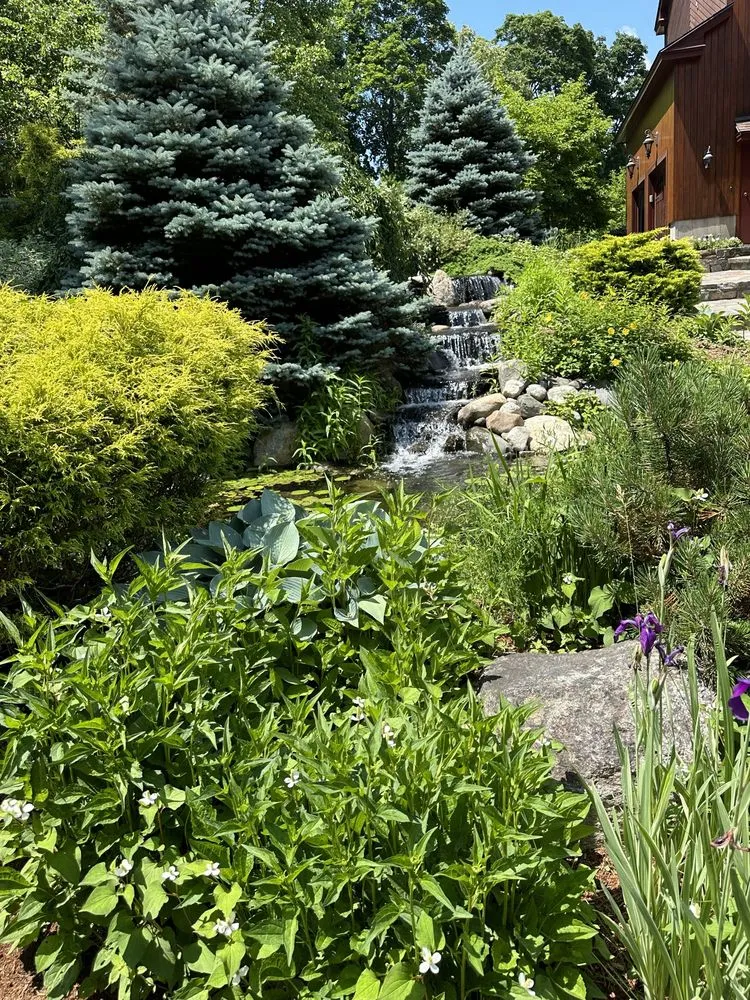 Trusted landscaping services experts serving Merrimack, NH - DMP
