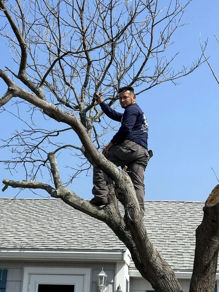 Trusted garden landscaping near you in Merrimack, NH by DMP