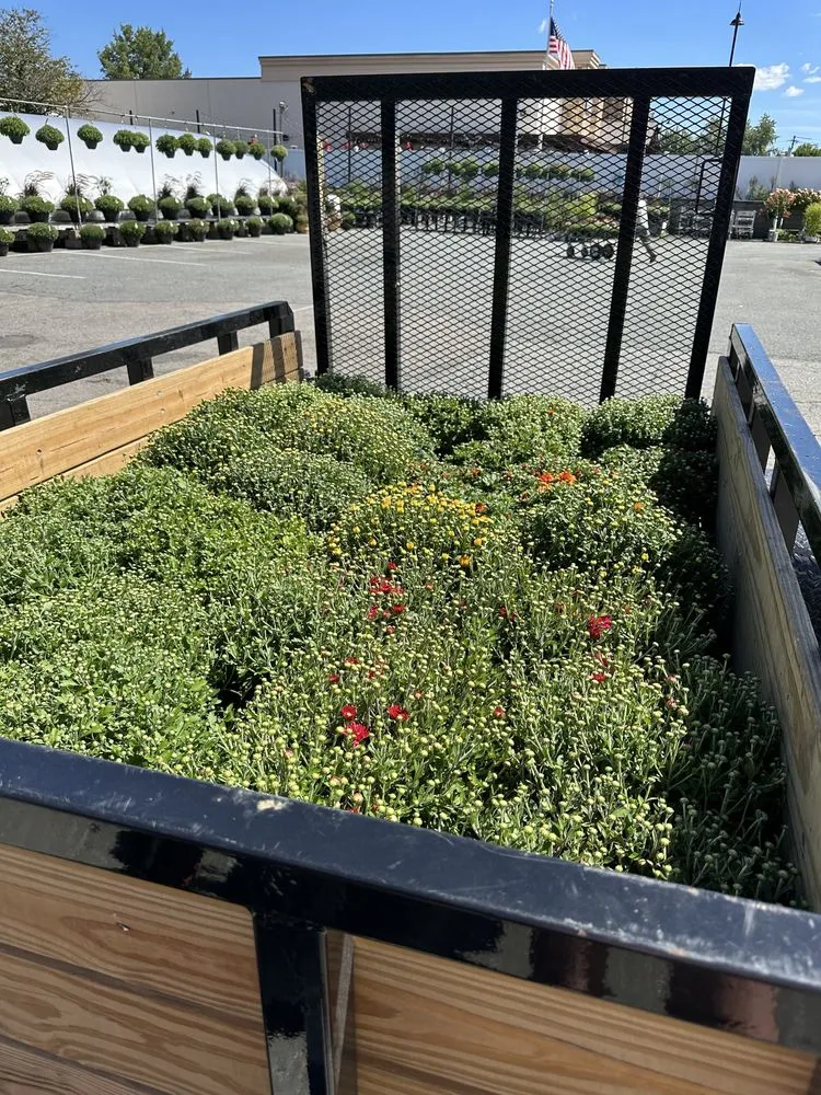 Expert lawn care service experts serving Merrimack, NH - DMP