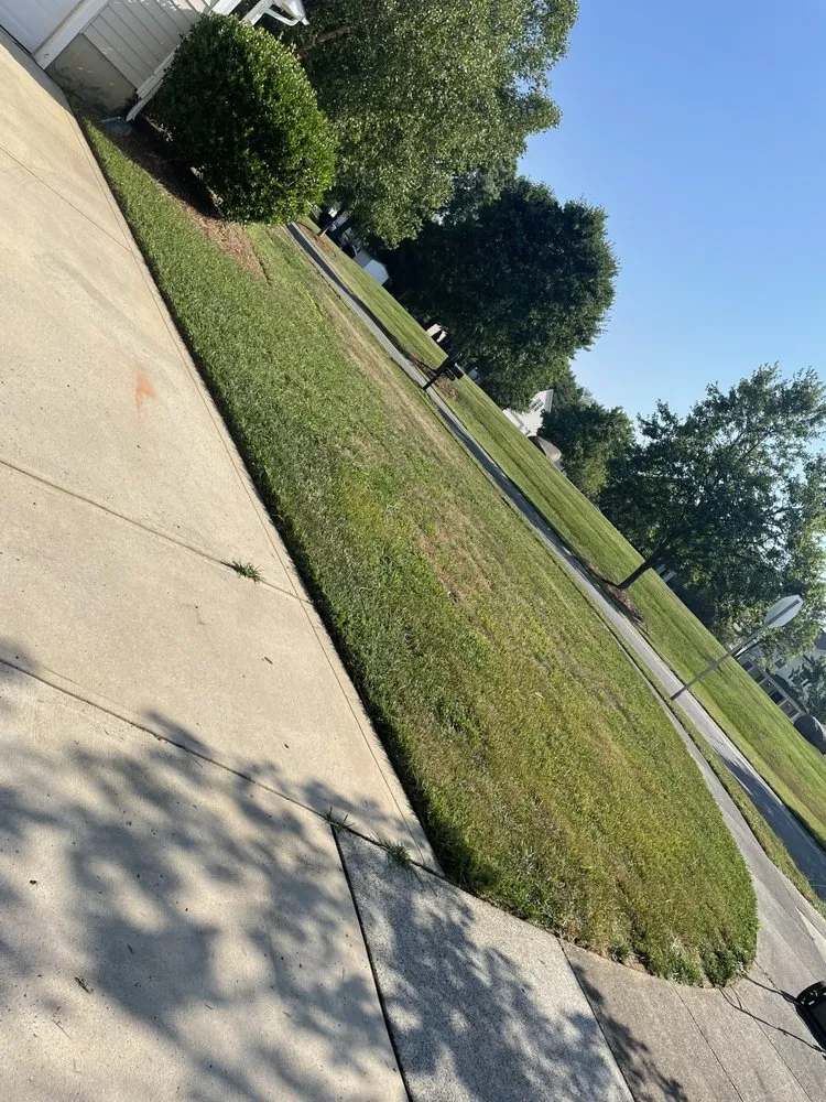 Top-rated landscape installation for outdoor upgrades in Kannapolis, NC by DMP Services