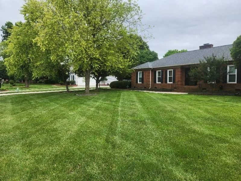 Top-rated yard maintenance in Kannapolis, NC - DMP Services