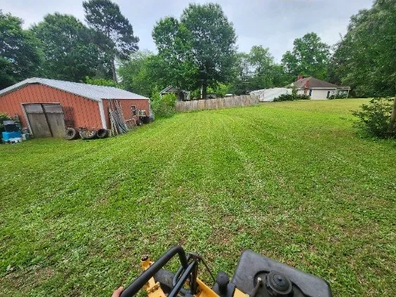 Affordable yard cleanup service experts serving Kannapolis, NC - DMP Services