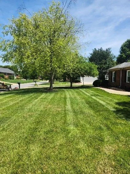 Expert yard cleanup service experts serving Kannapolis, NC - DMP Services