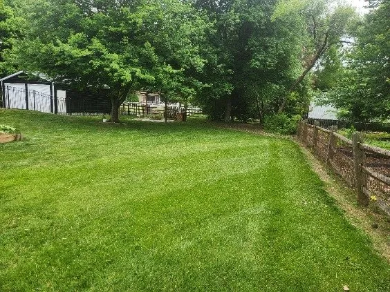 Top-rated landscape design in Kannapolis, NC - DMP Services