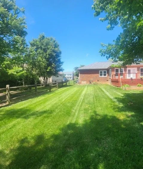 Local lawn care service for year-round maintenance across Kannapolis, NC - DMP Services