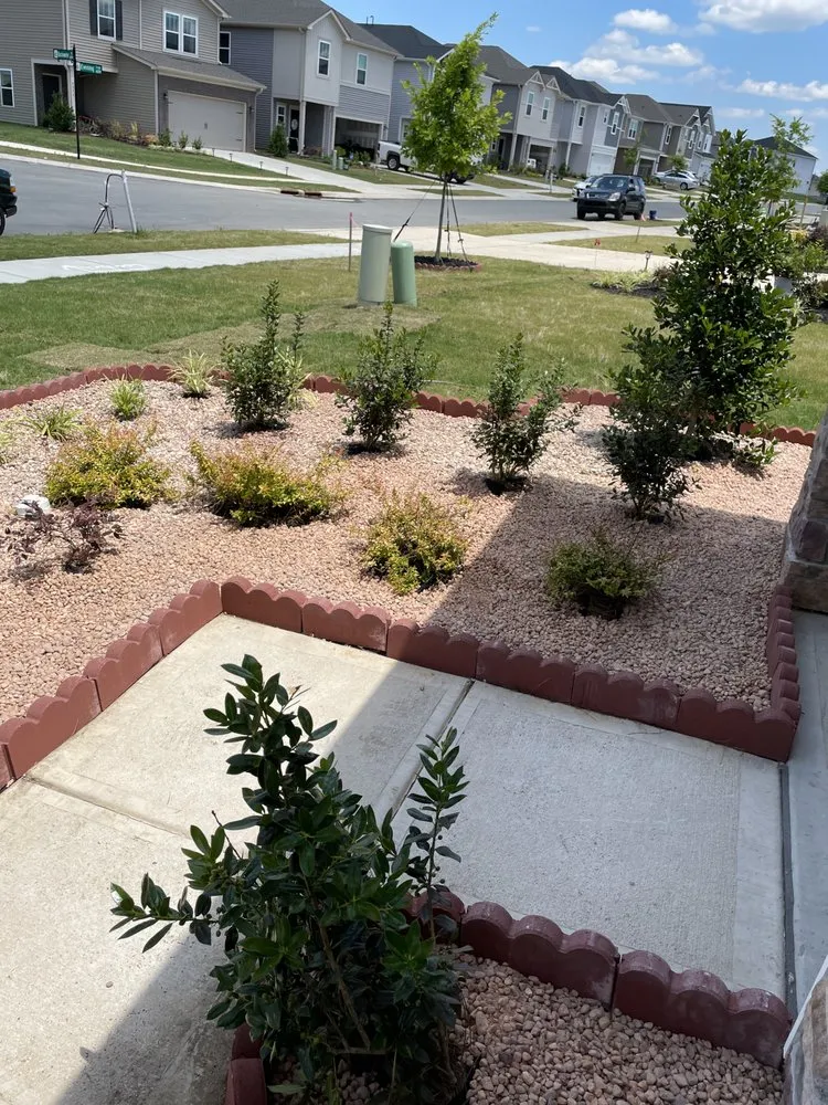 Trusted landscaping services for year-round maintenance across Kannapolis, NC - DMP Services