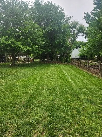 Top-rated outdoor landscaping for beautiful yards across Kannapolis, NC - DMP Services