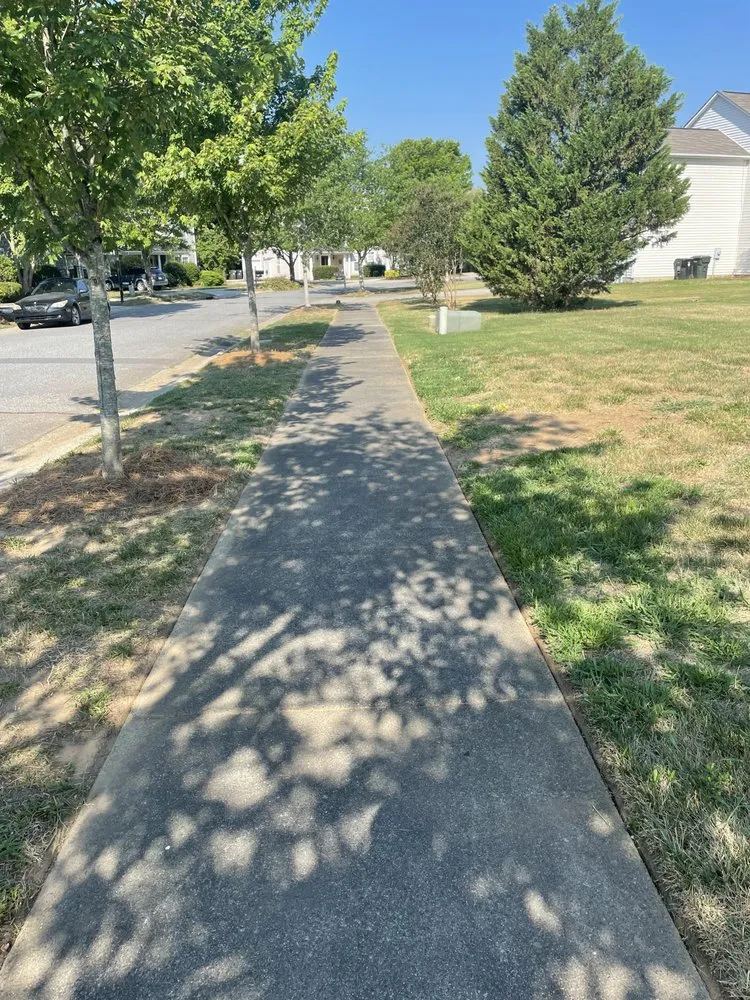 Top-rated outdoor landscaping experts serving Kannapolis, NC - DMP Services