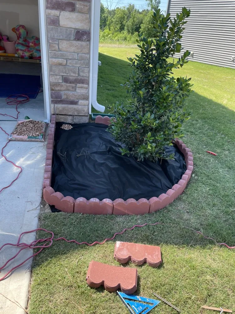 Trusted yard maintenance in Kannapolis, NC by DMP Services